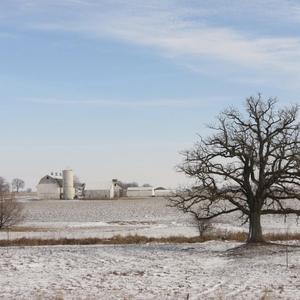 6 More Weeks of Winter