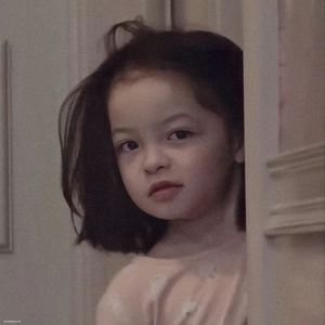 迷雾森林的谜语