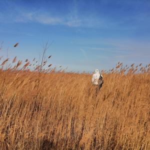 公路之歌【The songs of the highway】