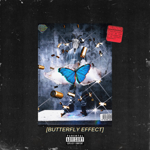 Butterfly Effect