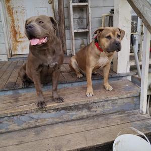 Cut Friends & Ties (feat. Smoke Dawg)