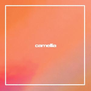 camellia