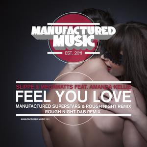 Feel You Love (Original Mix)