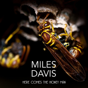 Bess, Oh, Where`s My Bess