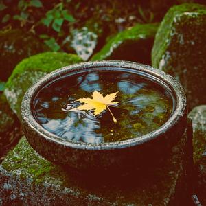Myelin Flow (Zen Meditation Music)