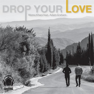 Drop Your Love (Original Mix)