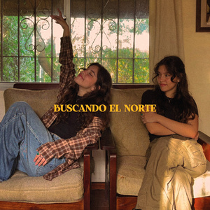 BUSCANDO EL NORTE
