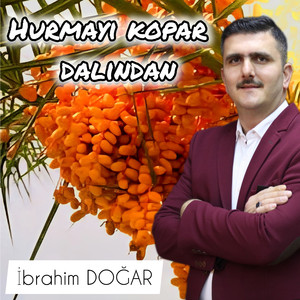 Hurmayı kopar dalından
