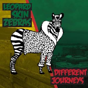 Different Journeys