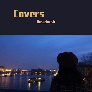 我给了你什么cover