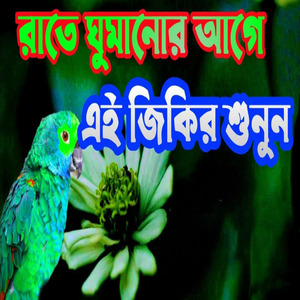 রাতে ঘুমানোর আগে এই জিকির শুনুন