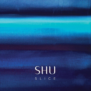 Stekkushi