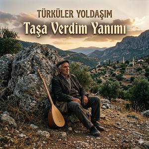 Taşa Verdim Yanımı
