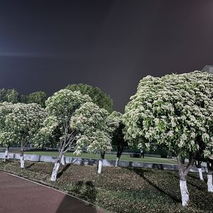 晚风拂过窗台时