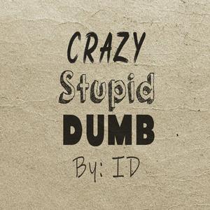 Crazy Stupid Dumb