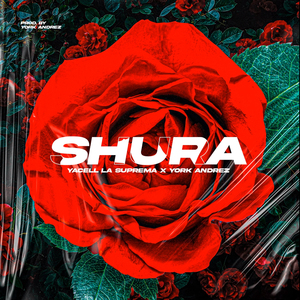 Shura