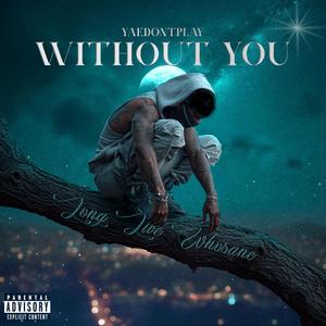 Without You