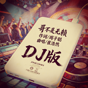 哥不是无赖dj