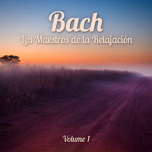 Suites No. 2 en Si Menor, BWV 1067: III. Sarabande