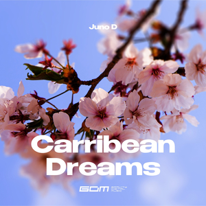 Carribean Dreams (Extended Mix)