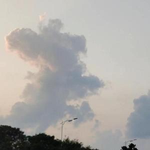 参与你的生活