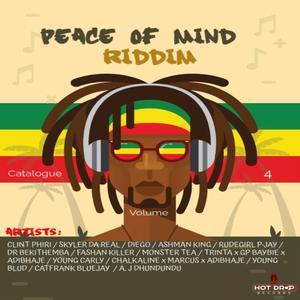 Rudegirl P-Jay - Controller