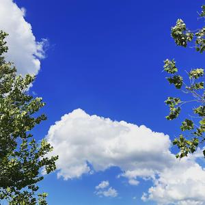 Textes to exes Chopped and screwed (feat. Sy Ari da kid)