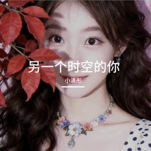 另一个时空的你