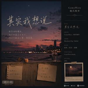 其实我想说