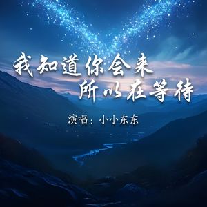 我知道你会来所以在等待