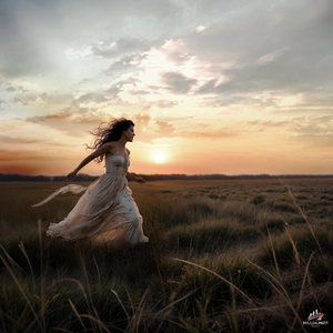 Бег сквозь солнце