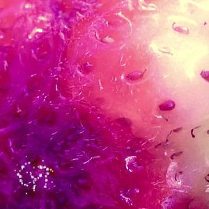 Mistrust (feat. Nina Rotner)