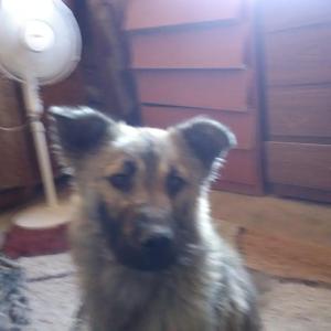 Prisionero de Tu Amor