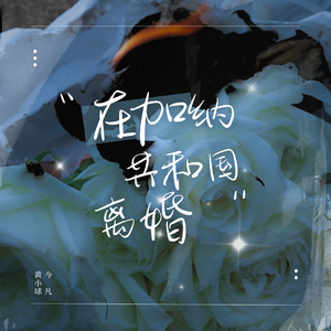 在加纳共和国离婚（demo）