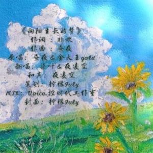 向阳生长的梦（翻自 昼夜）