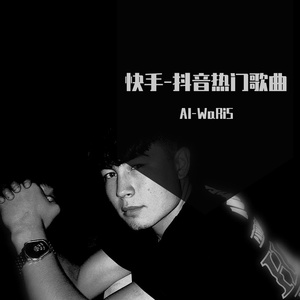 快手-抖音热门歌曲（Al-WaRiS remix）