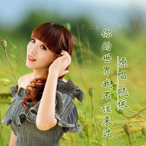 你的世界我不该来过DJ