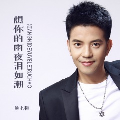 想你的雨夜泪如潮