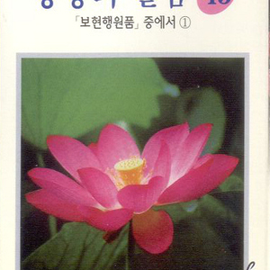 보현행원품 중에서2