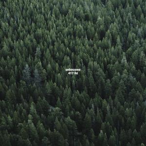 417 Hz (Meditation Music for Healing and Positive Change)