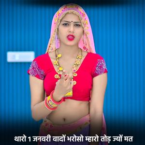 थारो 1 जनवरी वादों भरोसो म्हारो तोड़ ज्यों मत