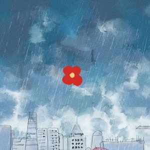 没有什么好担心的了