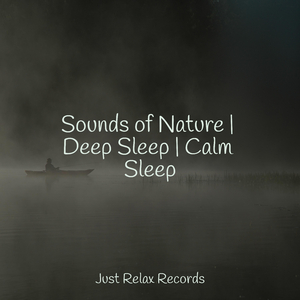 Enchanted Hues in Nature