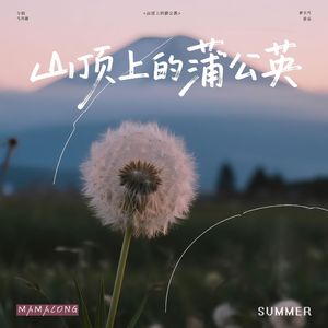 山顶上的蒲公英