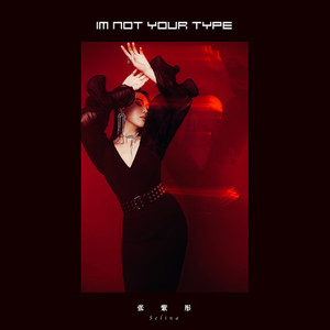 I'M NOT YOUR TYPE (纯音乐)