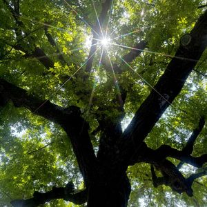 I DO ME（纯音乐）