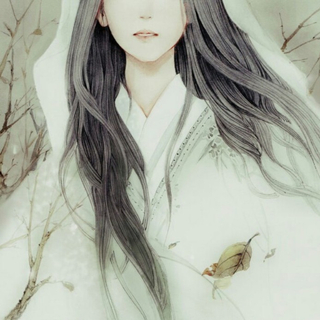 那些美的惊心的古风歌