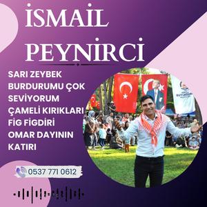 İSMAİL PEYNİRCİ POTPORİ SARI ZEYBEK BURDURUMU ÇOK SEVİYORUM ÇAMELİ FİG FİGDİRİ OMAR DAYININ KATIRI