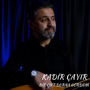 Bir Çift Durna Gördüm