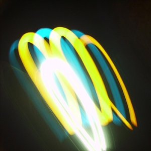 D Loop